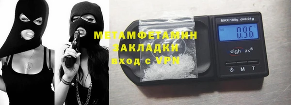 шишки Сосновый Бор
