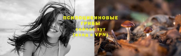 первитин Богданович