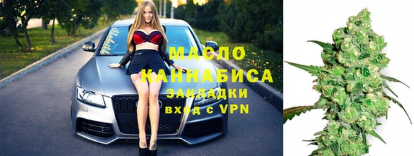 шишки Сосновый Бор