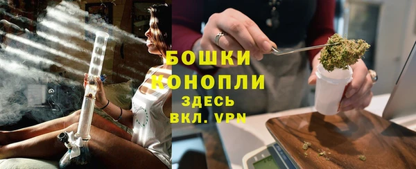 первитин Богданович