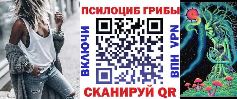 Галлюциногенные грибы Magic Shrooms  Купить  Приволжск 